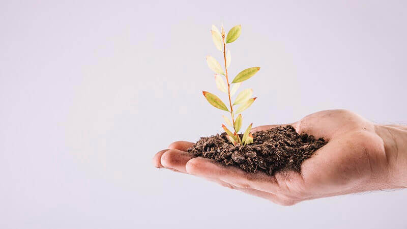 como avaliar o crescimento de uma empresa
