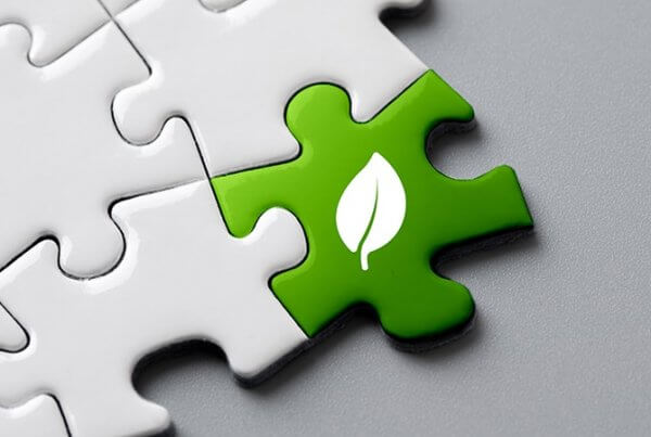 Como tornar uma empresa mais sustentável