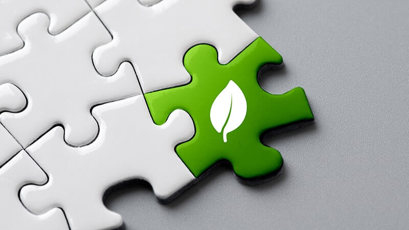 Como tornar uma empresa mais sustentável